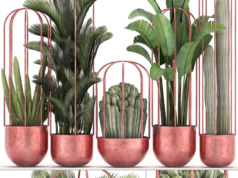  植物集锦 326. 仙人掌、棕榈、铜、香蕉3d模型 