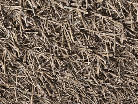  Branch天花板3d模型 