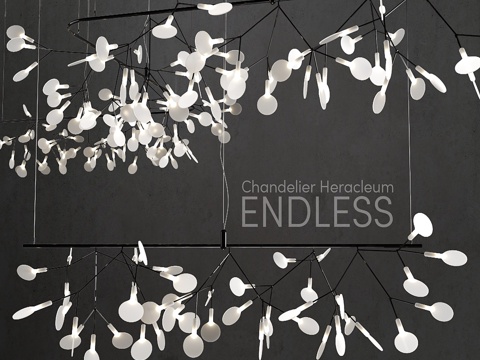 moooi Heracleum Endless 吊灯3d模型 