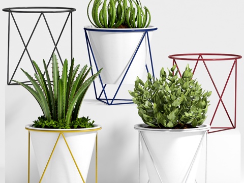  现代植物盆栽3d模型 