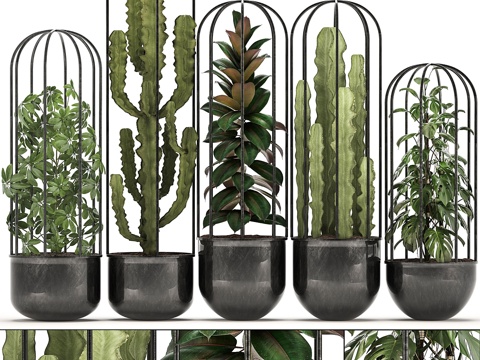  植物集锦 327. 黑色花盆、阁楼、花架3d模型3d模型 