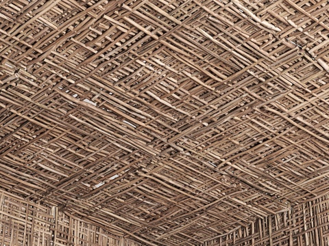  Bramch天花板    枝桠麻木的天花板3d模型 