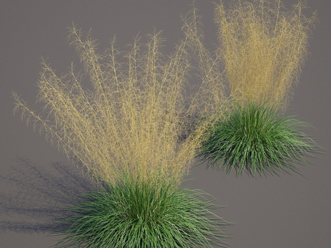  Pike turfy Lugovik   Deschamps3d模型 