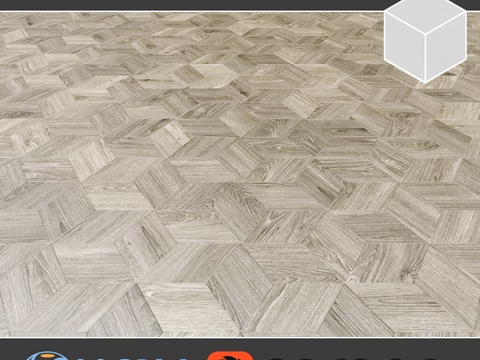  谢列梅捷沃星形拼花地板，1-23d模型 