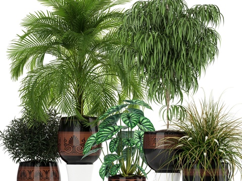  植物集锦 1823d模型 