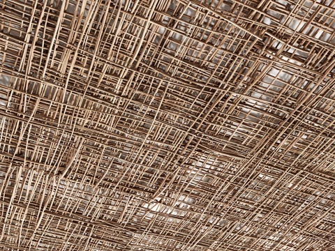  Bramch天花板3d模型 