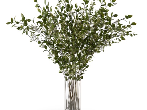  花瓶中的枝条 0083d模型 