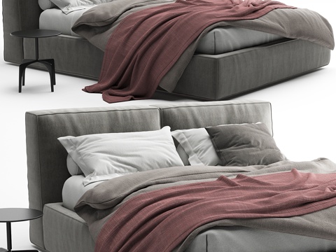  迪特雷意大利雾气床3d模型 