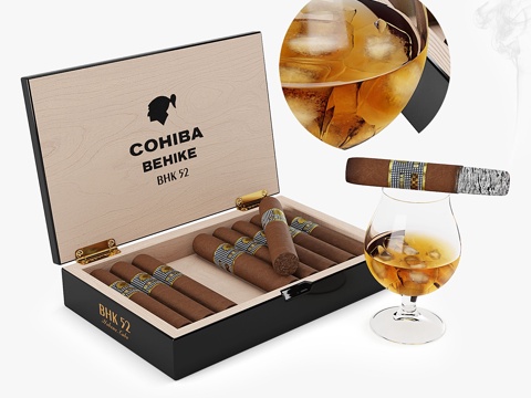  Cohiba雪茄配冰镇威士忌3d模型 