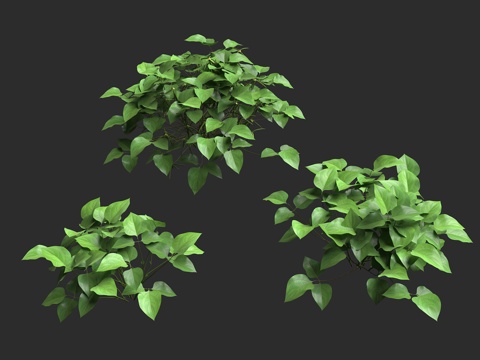  绿豆豇豆 灌木乔木 农作植物3d模型 