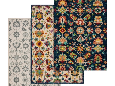  地毯套装383d模型 