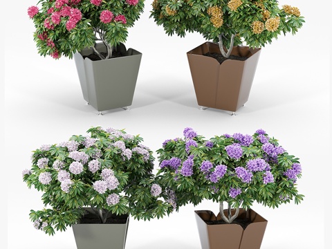  ADDICTED II BY AGENCE AKÏRO CY3d模型 