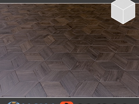  谢列梅捷沃星形拼花地板，1-33d模型 