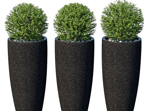  盆栽街头灌木 VIII3d模型 