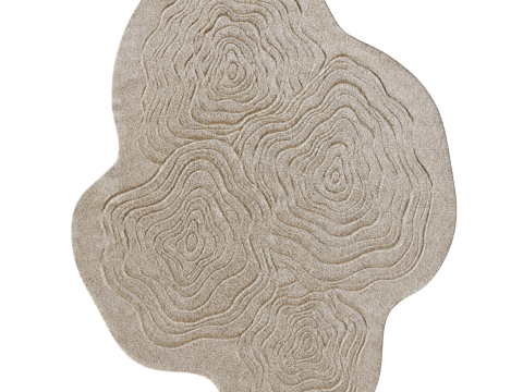  现代异形地毯 布艺地毯 创意地毯 客厅地毯3d模型 