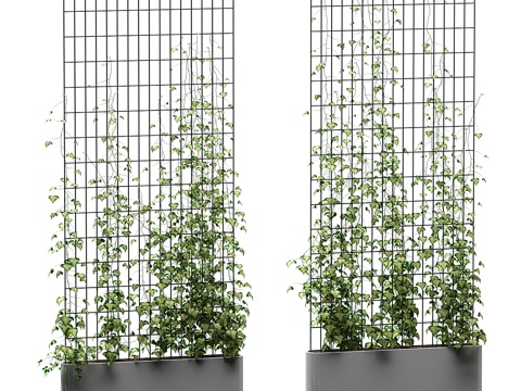  藤架常春藤 v33d模型 