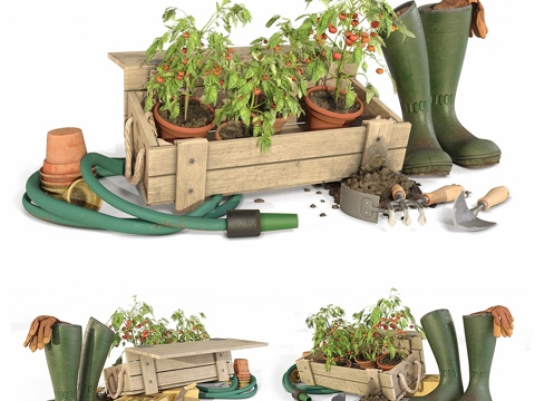  园丁番茄工具套装3d模型 