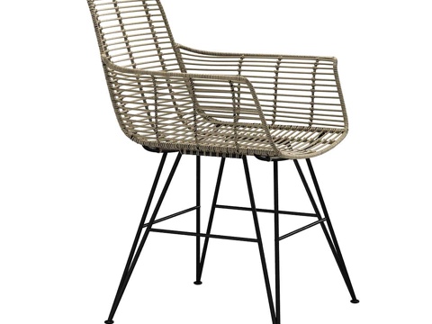  Palecek HERMOSA 户外扶手椅 3D模型3d模型 