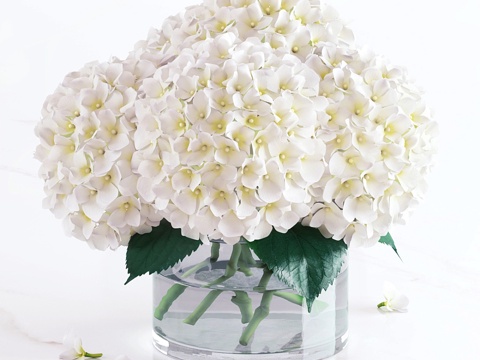  白色绣球花束3d模型 