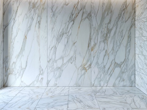  阿帕维萨博尔吉尼白3d模型 