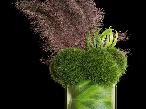  绿意堇菜花束3d模型 