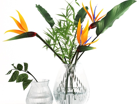  异域花束 - 鹤望兰3d模型 