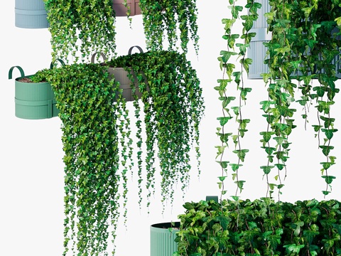  阳台常春藤3d模型 