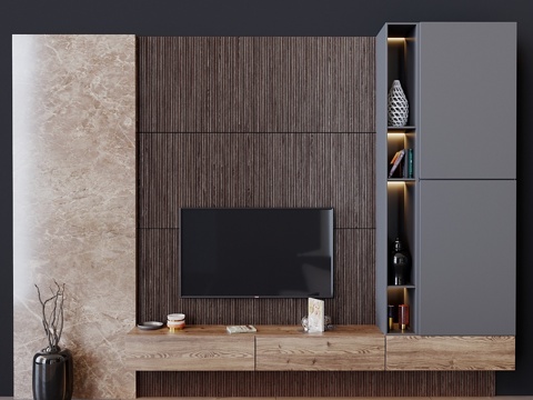  电视机套装493d模型 