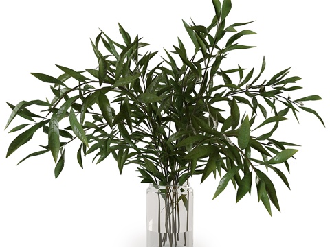  枝条插花0073d模型 