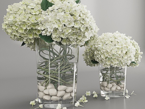  绣球花白色3d模型 