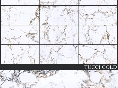  Peronda Tucci Gold3d模型 