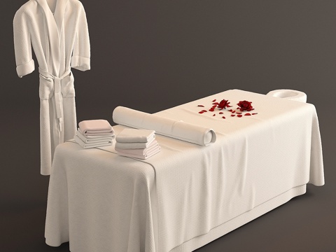  水疗床按摩台 23d模型 