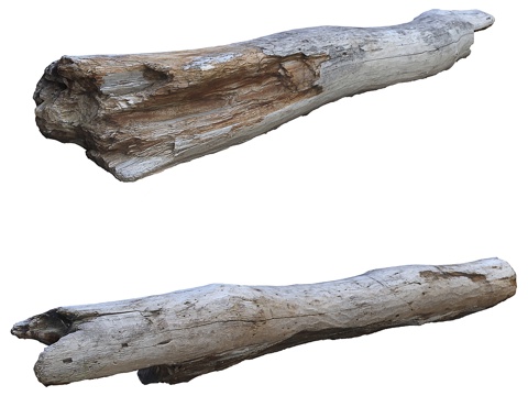  老树干_老原木3d模型 