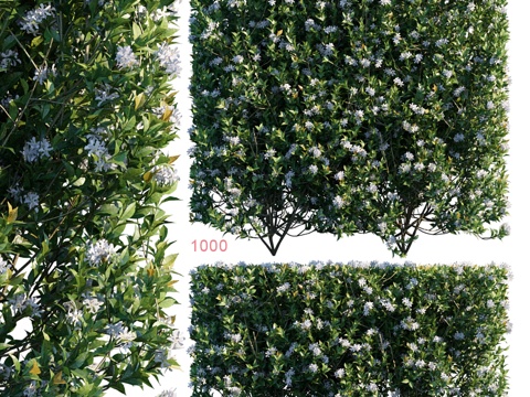  莫里西·斯图尔特沙发3d模型 