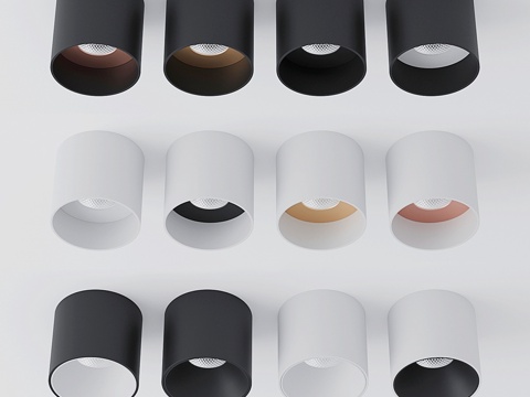  centrsvet ROLL3d模型 