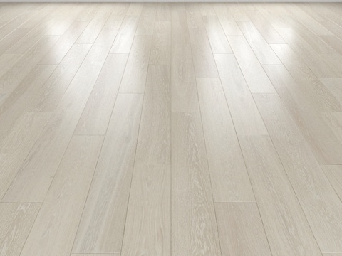  白橡木拼花地板，三种铺法：人字形、直线形、3d模型 