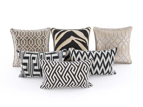  艾克霍尔茨靠垫3d模型 