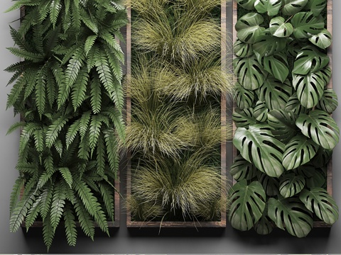  垂直花园29. 植物墙，图片，草，蕨3d模型 