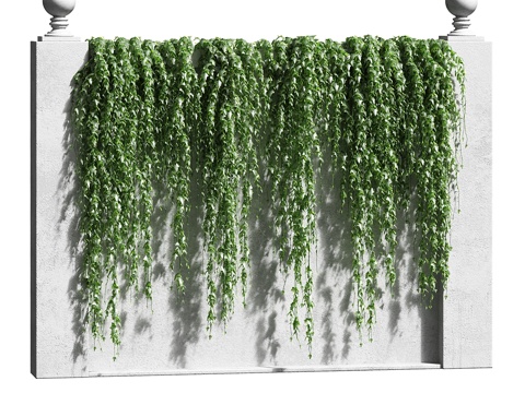  围栏常春藤3d模型 