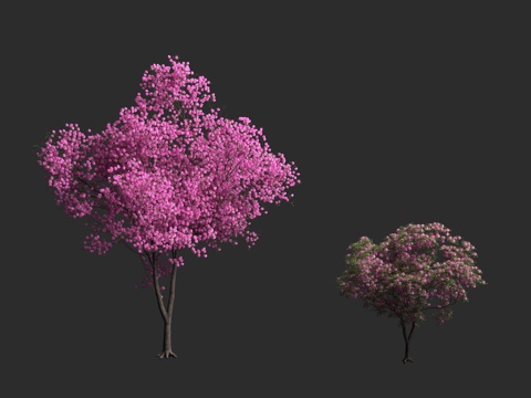  粉红风铃木 紫葳科 落叶乔木 观赏树种 玫瑰风铃木 喇叭树3d模型 