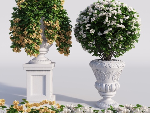  九重葛盆栽套装3d模型 