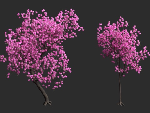  粉红风铃木 紫葳科 落叶乔木 观赏树种 玫瑰风铃木 喇叭树3d模型 