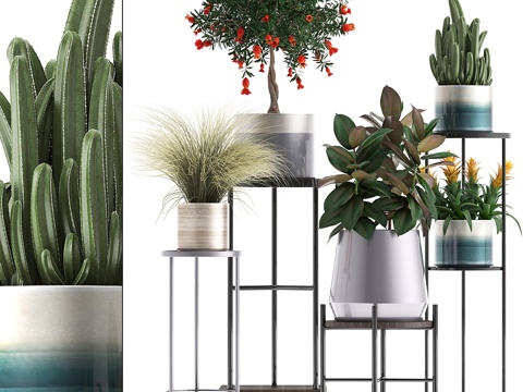  植物收藏287. 花架，石榴3d模型 