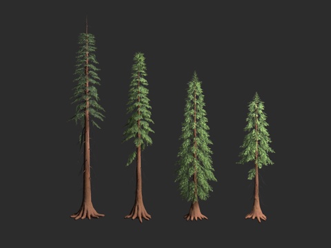  墙柏 美西侧柏 西部侧柏 大侧柏 美桧 北美红桧 香杉 西洋3d模型 