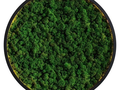  苔藓墙3d模型 
