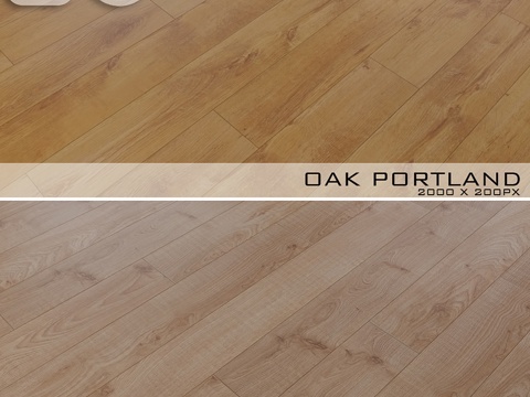  复合地板Classen №323d模型 