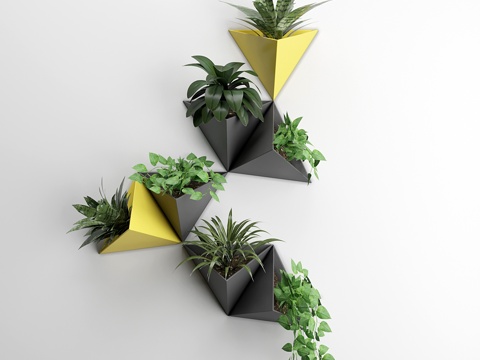  墙面植物23d模型 