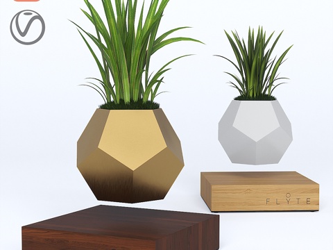  Flyte悬浮花艺3d模型 