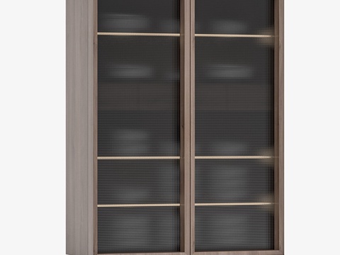  Vitrea 2 (OHK)3d模型 