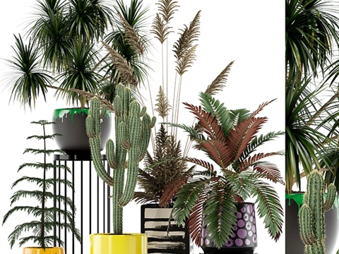  植物系列1393d模型 